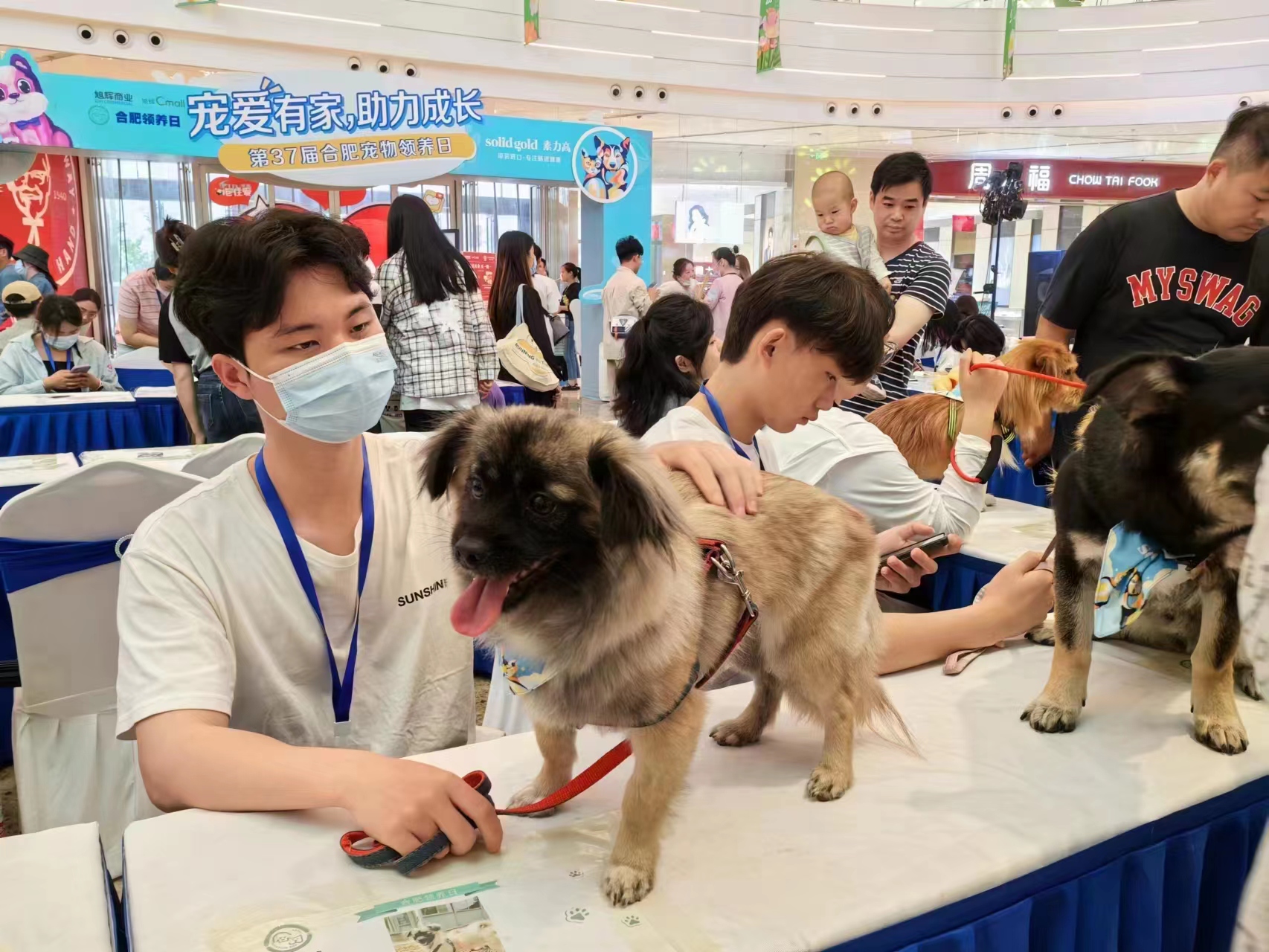 微信图片_20230706165749.jpg